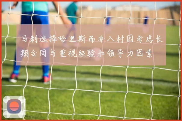 马刺选择哈里斯而非八村因考虑长期合同与重视经验和领导力因素