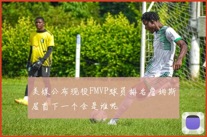 美媒公布现役FMVP球员排名詹姆斯居首下一个会是谁呢
